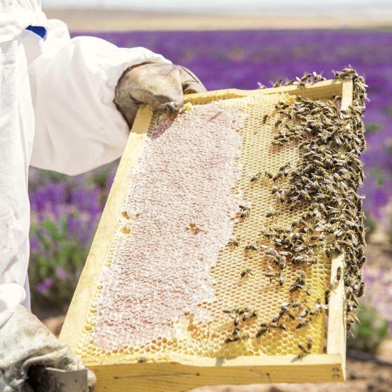 Savannah Bee Company Honey - Pure, Natural, Raw Honey