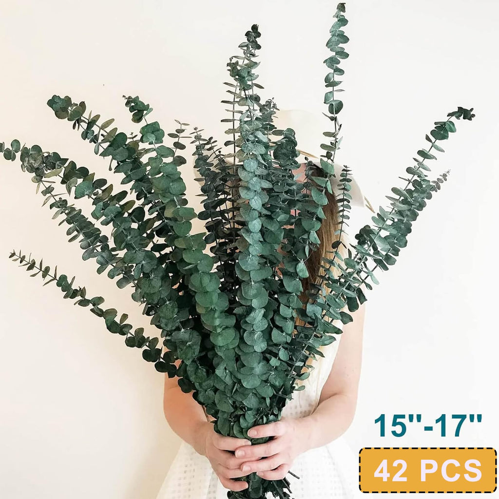 42 PCS Dried Eucalyptus Bundle - 17" Large Preserved Eucalyptus Stems, Real Leaves for Shower Hanging, Artificial Flowers Arrangement, Home Bathroom Decor
