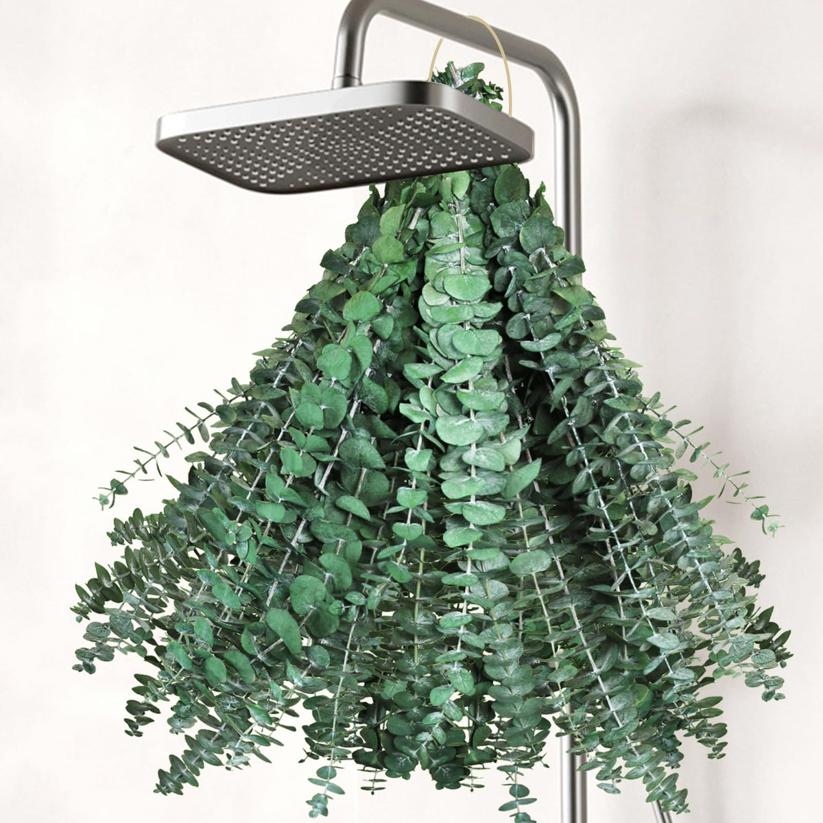 42 PCS Dried Eucalyptus Bundle - 17" Large Preserved Eucalyptus Stems, Real Leaves for Shower Hanging, Artificial Flowers Arrangement, Home Bathroom Decor