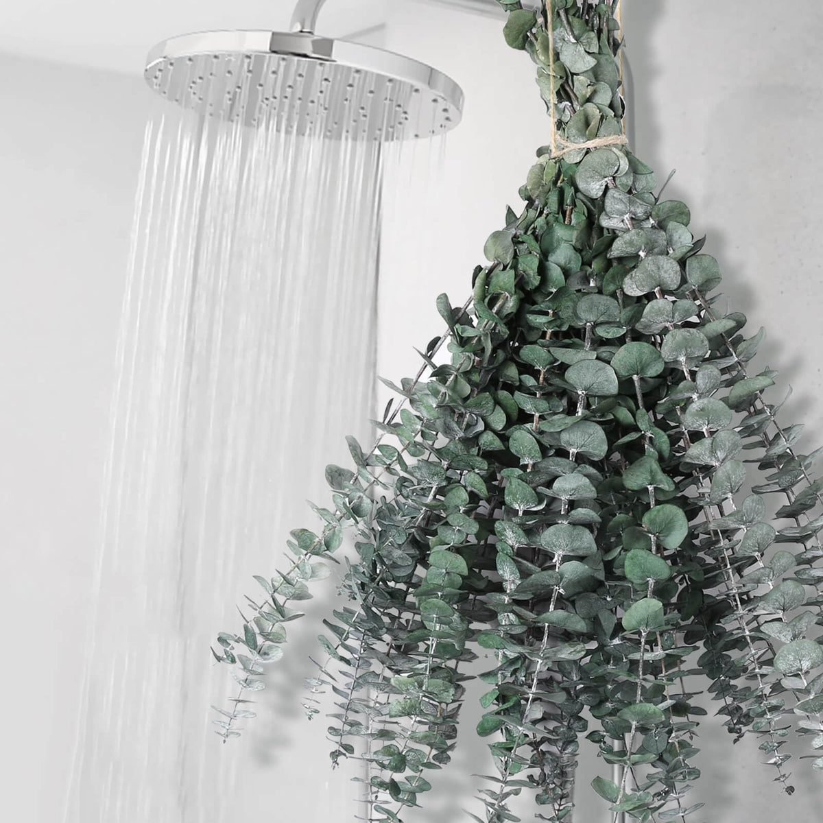 42 PCS Dried Eucalyptus Bundle - 17" Large Preserved Eucalyptus Stems, Real Leaves for Shower Hanging, Artificial Flowers Arrangement, Home Bathroom Decor