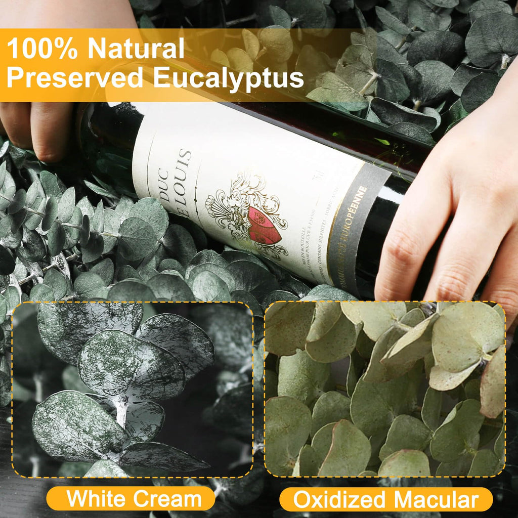 42 PCS Dried Eucalyptus Bundle - 17" Large Preserved Eucalyptus Stems, Real Leaves for Shower Hanging, Artificial Flowers Arrangement, Home Bathroom Decor