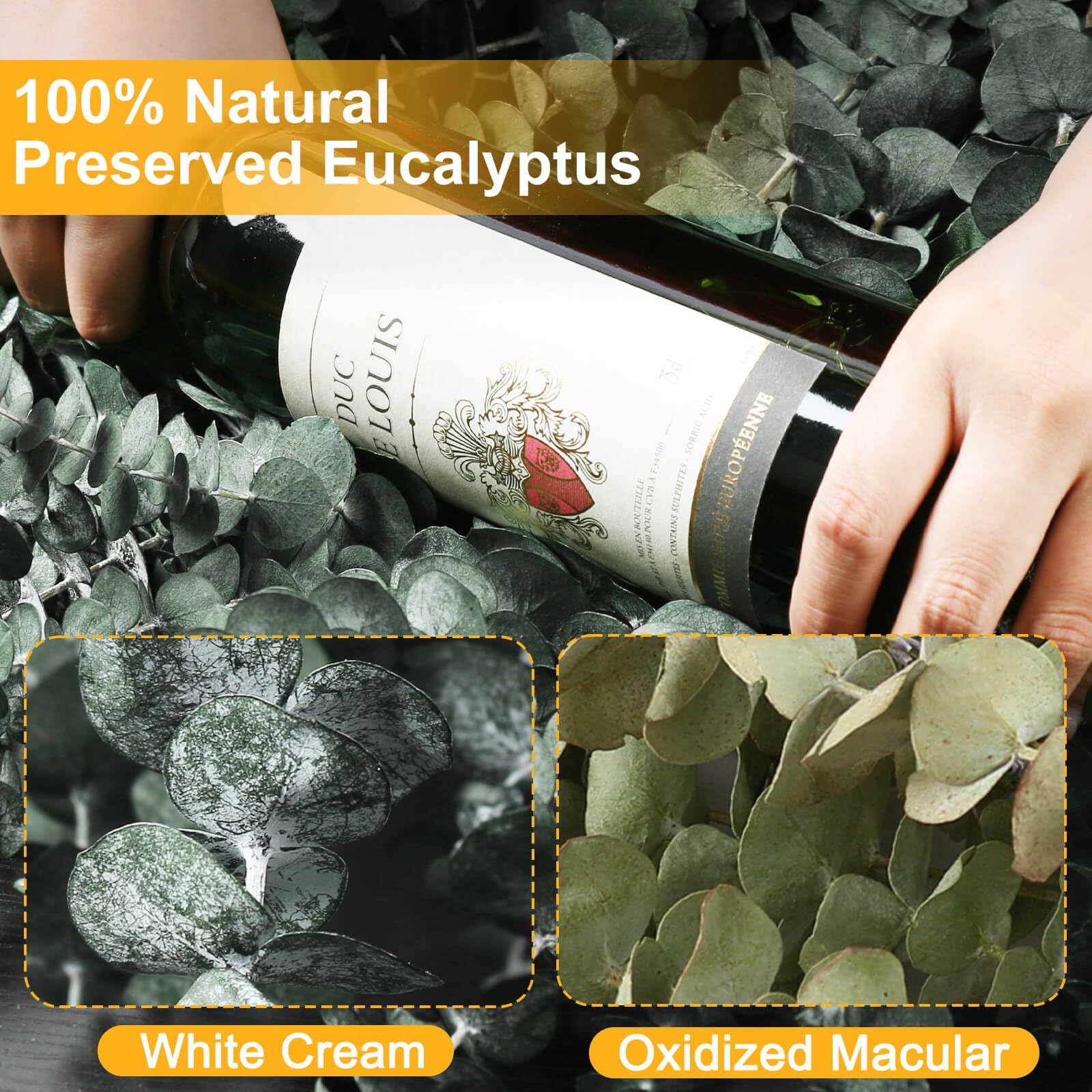 42 PCS Dried Eucalyptus Bundle - 17" Large Preserved Eucalyptus Stems, Real Leaves for Shower Hanging, Artificial Flowers Arrangement, Home Bathroom Decor