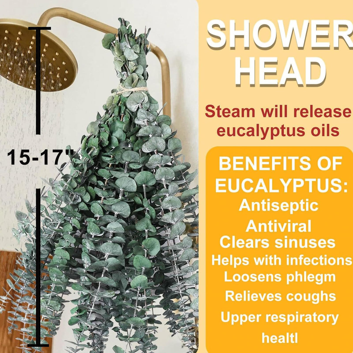 42 PCS Dried Eucalyptus Bundle - 17" Large Preserved Eucalyptus Stems, Real Leaves for Shower Hanging, Artificial Flowers Arrangement, Home Bathroom Decor