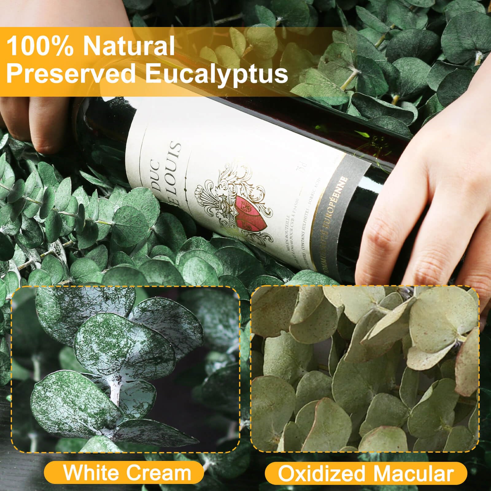 42 PCS Dried Eucalyptus Bundle - 17" Large Preserved Eucalyptus Stems, Real Leaves for Shower Hanging, Artificial Flowers Arrangement, Home Bathroom Decor