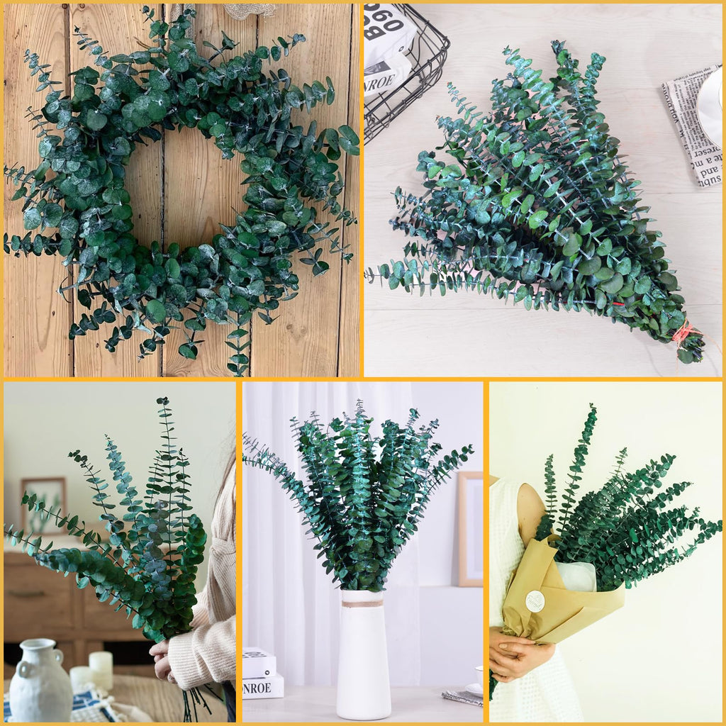 42 PCS Dried Eucalyptus Bundle - 17" Large Preserved Eucalyptus Stems, Real Leaves for Shower Hanging, Artificial Flowers Arrangement, Home Bathroom Decor